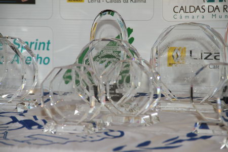 RALLYE SPRINT FOZ DO ARELHO 2012