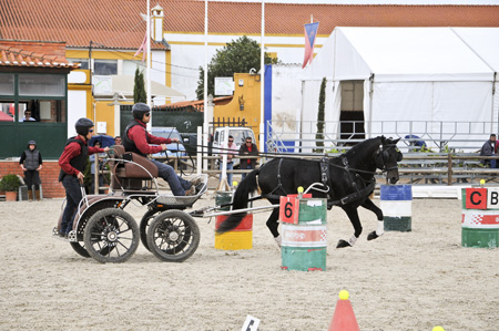 EXPOEGUA 2012 – GOLEGÃ