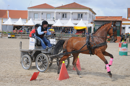 EXPOEGUA 2012 – GOLEGÃ