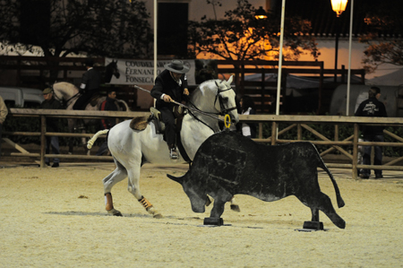 EXPOEGUA 2012 – GOLEGÃ