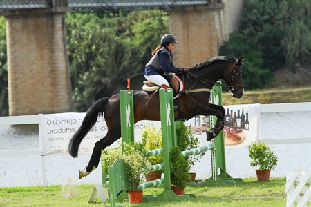 DOMINGO0.80M(JOSÉ BAPTISTA)