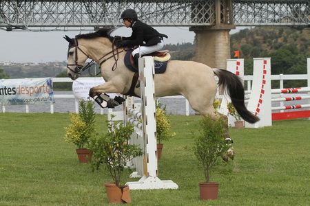 SEXTA0.80M(FERNANDO CASTANHO)