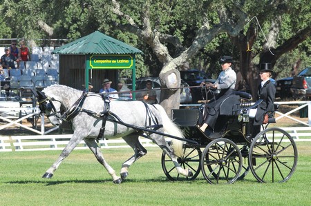 WORLD DRIVING CHAMPIONSHIPS FOR SINGLES 2012 – PORTUGAL