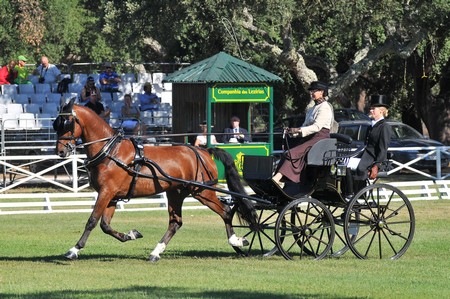 WORLD DRIVING CHAMPIONSHIPS FOR SINGLES 2012 – PORTUGAL