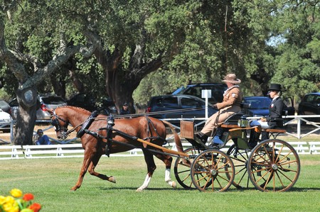 WORLD DRIVING CHAMPIONSHIPS FOR SINGLES 2012 – PORTUGAL