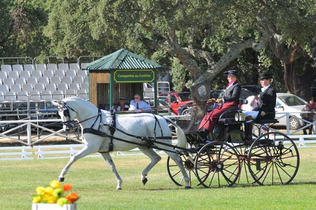WORLD DRIVING CHAMPIONSHIPS FOR SINGLES 2012 – PORTUGAL