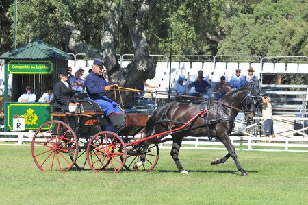 WORLD DRIVING CHAMPIONSHIPS FOR SINGLES 2012 – PORTUGAL