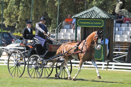 WORLD DRIVING CHAMPIONSHIPS FOR SINGLES 2012 – PORTUGAL