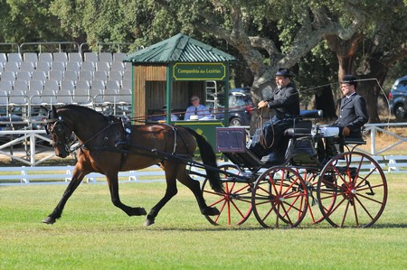 WORLD DRIVING CHAMPIONSHIPS FOR SINGLES 2012 – PORTUGAL