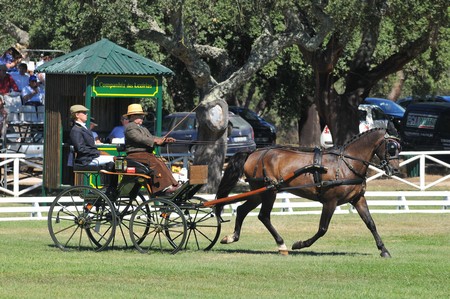 WORLD DRIVING CHAMPIONSHIPS FOR SINGLES 2012 – PORTUGAL