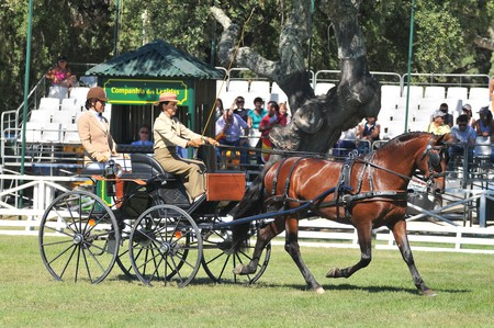 WORLD DRIVING CHAMPIONSHIPS FOR SINGLES 2012 – PORTUGAL