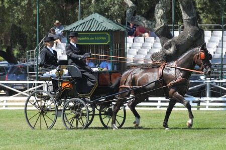 WORLD DRIVING CHAMPIONSHIPS FOR SINGLES 2012 – PORTUGAL