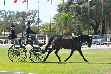 WORLD DRIVING CHAMPIONSHIPS FOR SINGLES 2012 – PORTUGAL