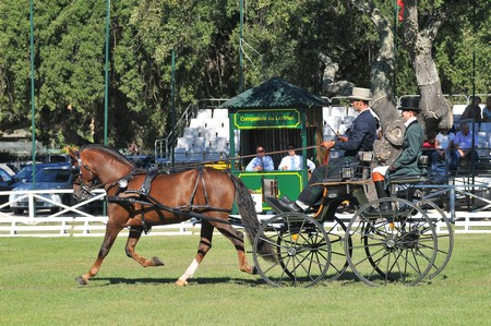 WORLD DRIVING CHAMPIONSHIPS FOR SINGLES 2012 – PORTUGAL