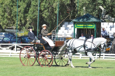WORLD DRIVING CHAMPIONSHIPS FOR SINGLES 2012 – PORTUGAL