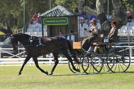WORLD DRIVING CHAMPIONSHIPS FOR SINGLES 2012 – PORTUGAL