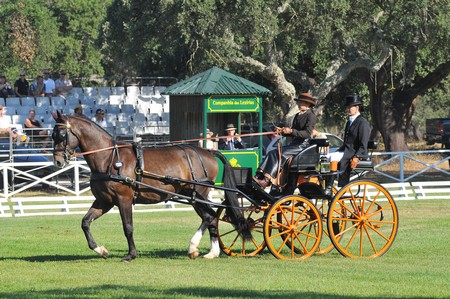 WORLD DRIVING CHAMPIONSHIPS FOR SINGLES 2012 – PORTUGAL