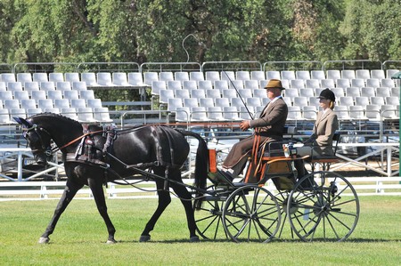 WORLD DRIVING CHAMPIONSHIPS FOR SINGLES 2012 – PORTUGAL
