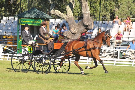 WORLD DRIVING CHAMPIONSHIPS FOR SINGLES 2012 – PORTUGAL