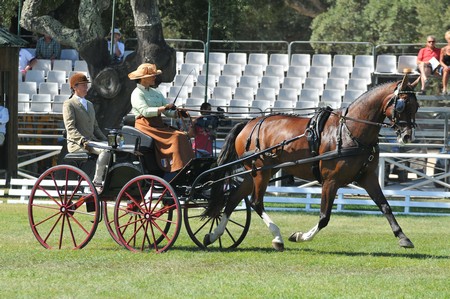 WORLD DRIVING CHAMPIONSHIPS FOR SINGLES 2012 – PORTUGAL