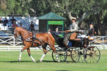 WORLD DRIVING CHAMPIONSHIPS FOR SINGLES 2012 – PORTUGAL