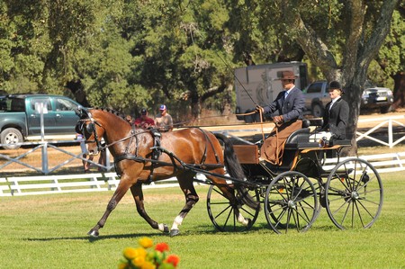 WORLD DRIVING CHAMPIONSHIPS FOR SINGLES 2012 – PORTUGAL