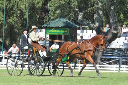 WORLD DRIVING CHAMPIONSHIPS FOR SINGLES 2012 – PORTUGAL