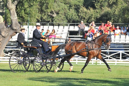 WORLD DRIVING CHAMPIONSHIPS FOR SINGLES 2012 – PORTUGAL