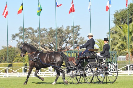 WORLD DRIVING CHAMPIONSHIPS FOR SINGLES 2012 – PORTUGAL