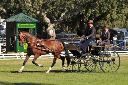 WORLD DRIVING CHAMPIONSHIPS FOR SINGLES 2012 – PORTUGAL