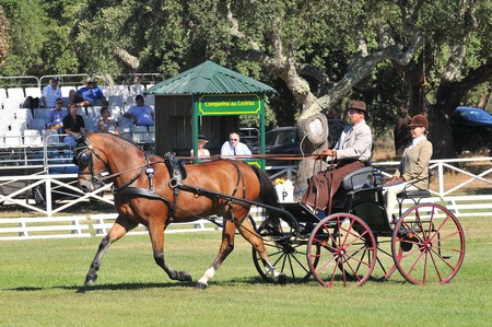 WORLD DRIVING CHAMPIONSHIPS FOR SINGLES 2012 – PORTUGAL