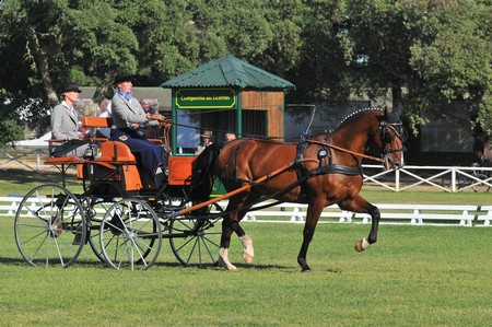 WORLD DRIVING CHAMPIONSHIPS FOR SINGLES 2012 – PORTUGAL