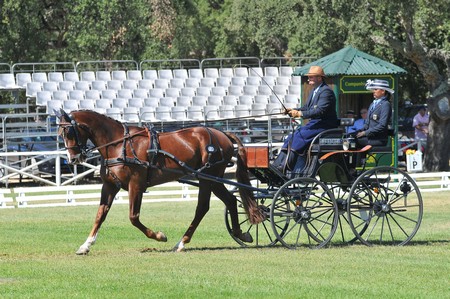 WORLD DRIVING CHAMPIONSHIPS FOR SINGLES 2012 – PORTUGAL