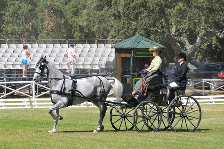 WORLD DRIVING CHAMPIONSHIPS FOR SINGLES 2012 – PORTUGAL