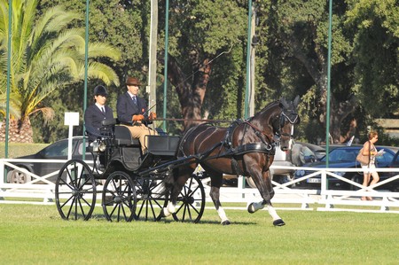 WORLD DRIVING CHAMPIONSHIPS FOR SINGLES 2012 – PORTUGAL