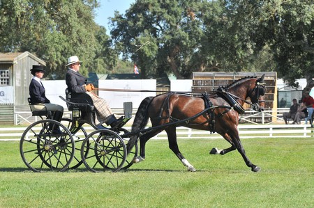 WORLD DRIVING CHAMPIONSHIPS FOR SINGLES 2012 – PORTUGAL