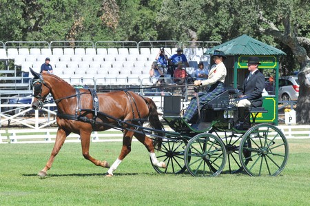 WORLD DRIVING CHAMPIONSHIPS FOR SINGLES 2012 – PORTUGAL