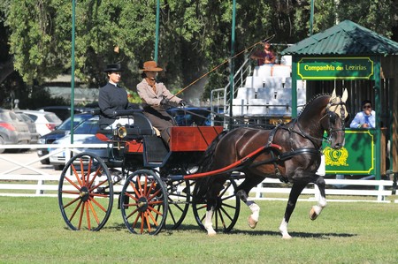 WORLD DRIVING CHAMPIONSHIPS FOR SINGLES 2012 – PORTUGAL