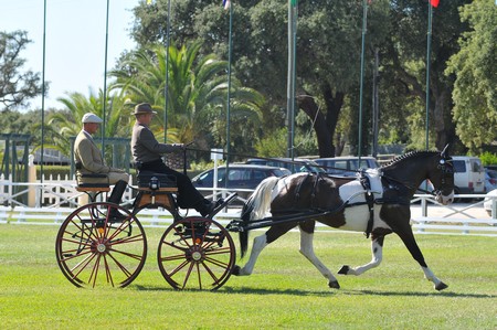 WORLD DRIVING CHAMPIONSHIPS FOR SINGLES 2012 – PORTUGAL