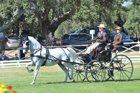 WORLD DRIVING CHAMPIONSHIPS FOR SINGLES 2012 – PORTUGAL