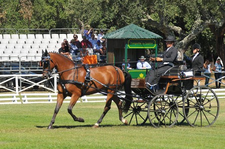 WORLD DRIVING CHAMPIONSHIPS FOR SINGLES 2012 – PORTUGAL