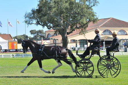 WORLD DRIVING CHAMPIONSHIPS FOR SINGLES 2012 – PORTUGAL