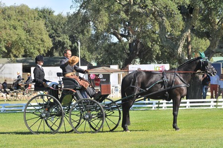 WORLD DRIVING CHAMPIONSHIPS FOR SINGLES 2012 – PORTUGAL