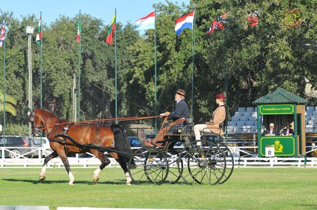 WORLD DRIVING CHAMPIONSHIPS FOR SINGLES 2012 – PORTUGAL