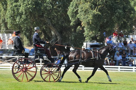 WORLD DRIVING CHAMPIONSHIPS FOR SINGLES 2012 – PORTUGAL