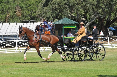 WORLD DRIVING CHAMPIONSHIPS FOR SINGLES 2012 – PORTUGAL
