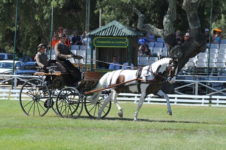 WORLD DRIVING CHAMPIONSHIPS FOR SINGLES 2012 – PORTUGAL