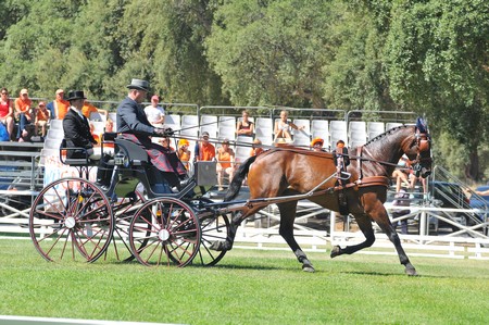 WORLD DRIVING CHAMPIONSHIPS FOR SINGLES 2012 – PORTUGAL