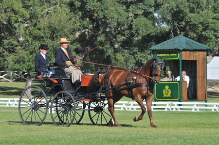 WORLD DRIVING CHAMPIONSHIPS FOR SINGLES 2012 – PORTUGAL