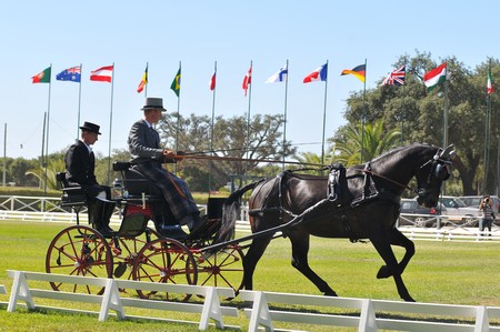 WORLD DRIVING CHAMPIONSHIPS FOR SINGLES 2012 – PORTUGAL